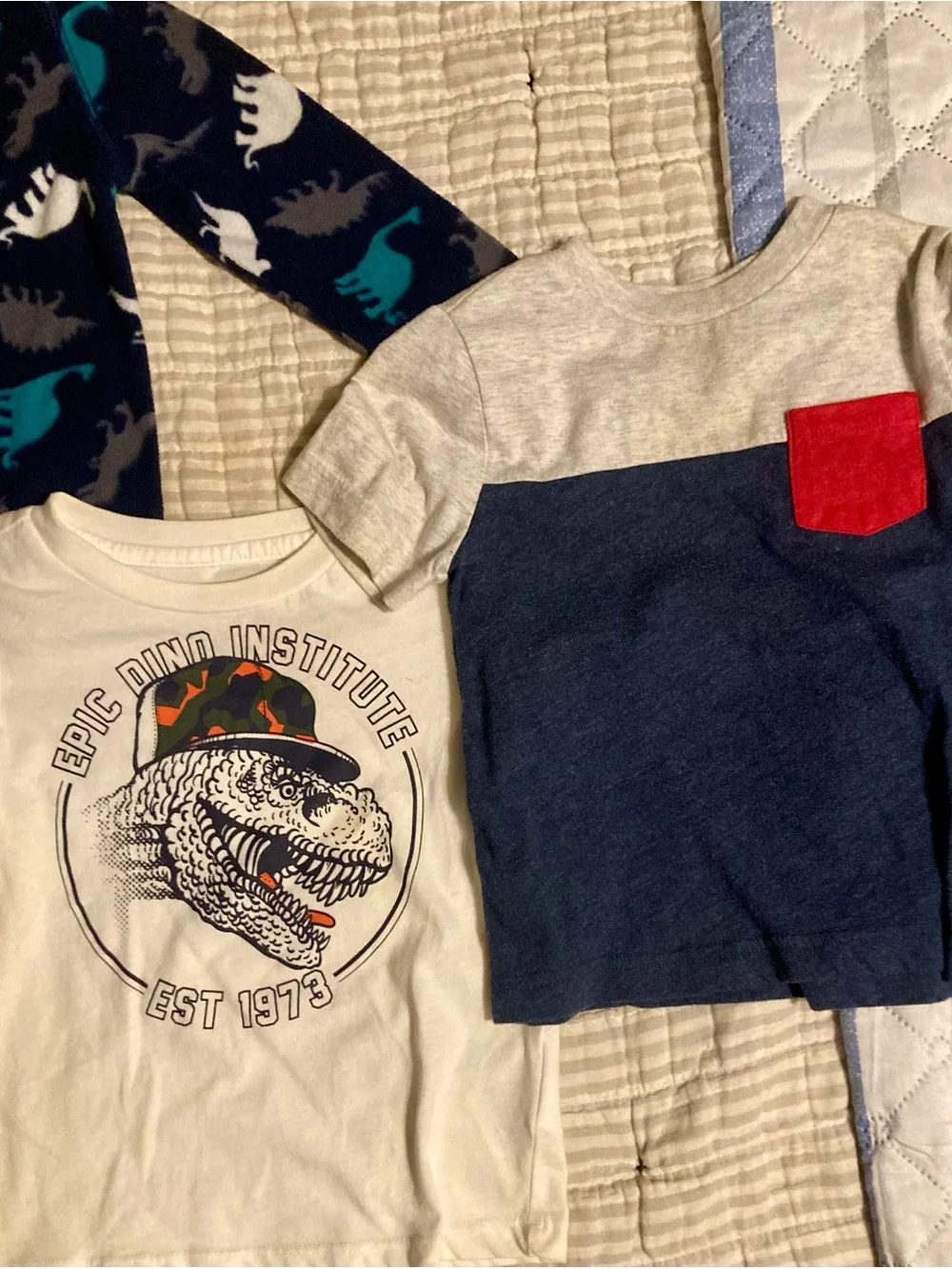 Boys Toddler Clothes - Bundle of 4 t-shirts + a Dinosaur Fleece Pullover Cute